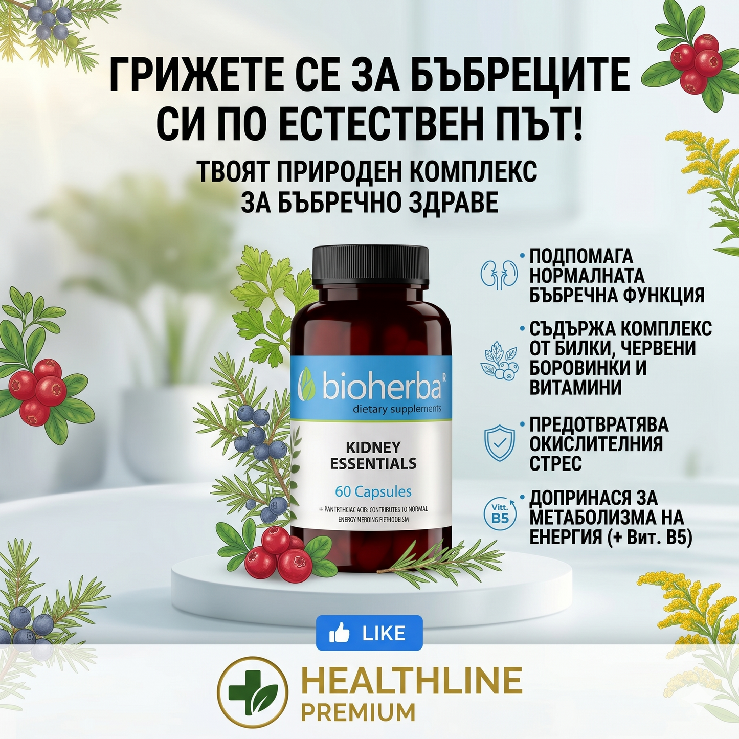 Билкова формула за бъбреци (Kidney Essentials) – 60 капсули