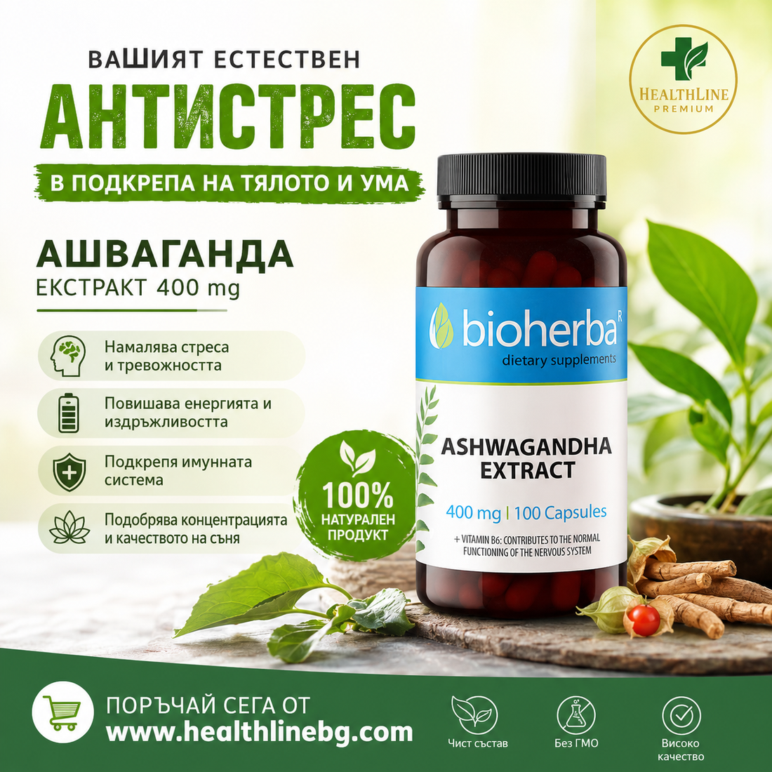 Ашваганда: Как древното индийско растение помага срещу стрес и безсъние?