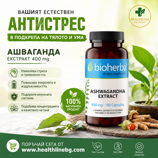 Ашваганда: Как древното индийско растение помага срещу стрес и безсъние?
