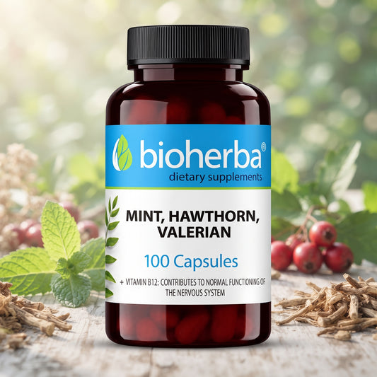 МЕНТА, ГЛОГ, ВАЛЕРИАНА + ВИТАМИН B12 (250 mg, 100 капсули) – Bioherba