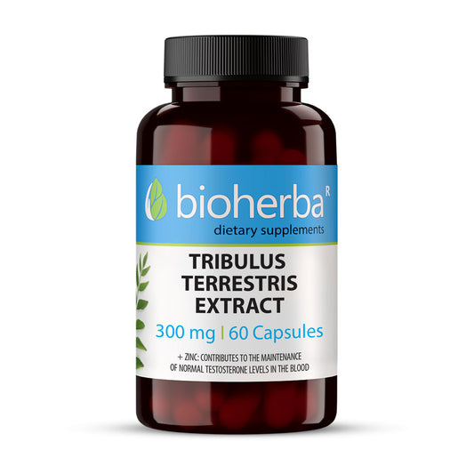 БАБИНИ ЗЪБИ EКСТРАКТ/ TRIBULUS TERRESTRIS EXTRACT, 60 капсули, 300мг